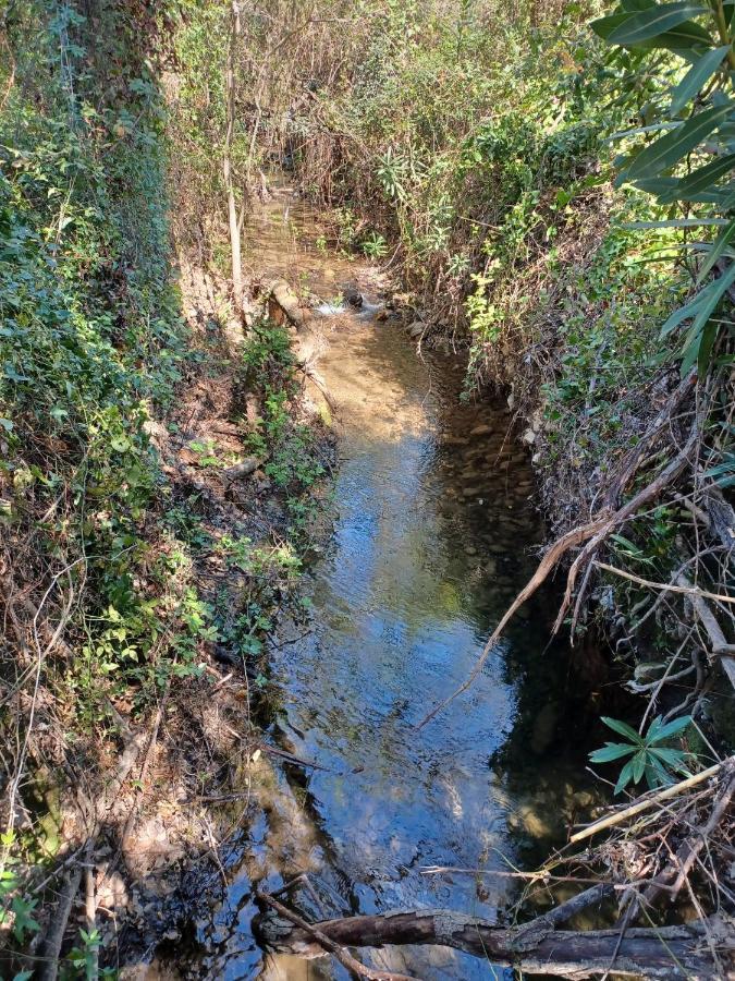 הוילה אל בוסקה Casa Sendero Del Rio מראה חיצוני תמונה